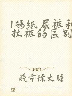 l码纸尿裤和拉拉裤的区别