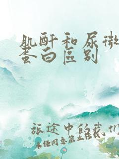 肌酐和尿微量白蛋白区别