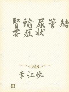 肾输尿管结石主要症状