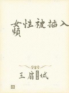 女性被插入爽视频