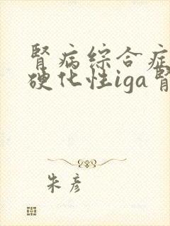 肾病综合症增生硬化性iga肾