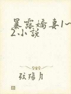 暴露娇妻1~12小说