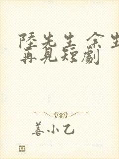 陆先生 余生不再见短剧