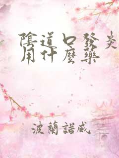 阴道口发炎可以用什么药