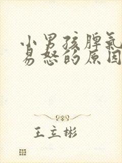 小男孩脾气暴躁易怒的原因