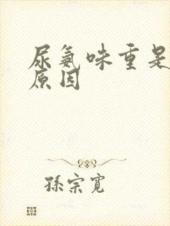 尿氨味重是什么原因