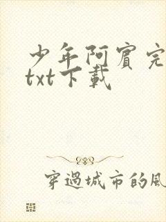 少年阿宾完整版txt下载