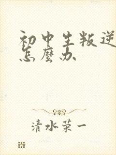 初中生叛逆家长怎么办