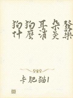 狗狗耳朵发炎吃什么消炎药