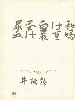 尿蛋白1+和隐血1+严重吗