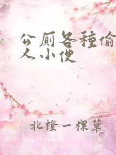 公厕各种偷拍女人小便