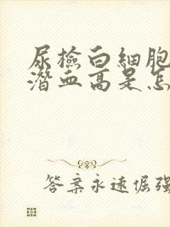 尿检白细胞和尿潜血高是怎么回事