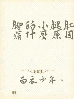 脚的小腿肚子胀痛什么原因