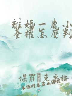 离婚一岁小孩抚养权怎么判