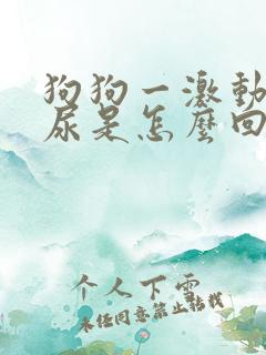 狗狗一激动就漏尿是怎么回事