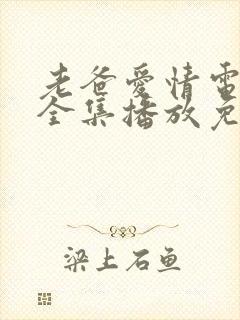 老爸爱情电视剧全集播放免费观看