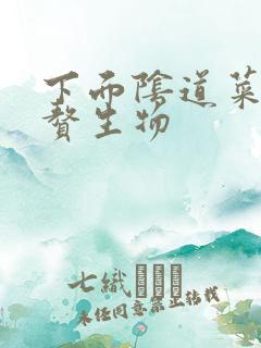 下面阴道菜花状赘生物