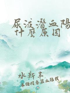 尿液潜血阳性1 什么原因