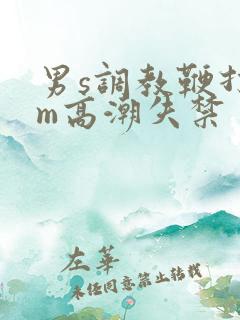 男s调教鞭打男m高潮失禁