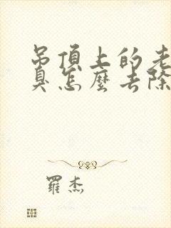 吊顶上的老鼠尿臭怎么去除