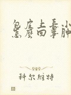 包皮上长小疙瘩怎么回事肿了还疼