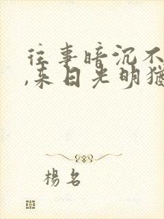 往事暗沉不可追,来日光明犹可待