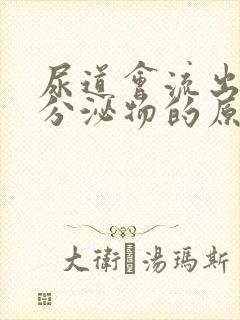 尿道会流出白色分泌物的原因