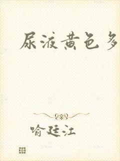 尿液黄色多泡沫