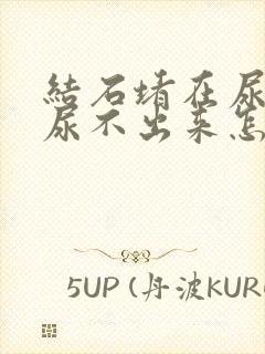 结石堵在尿道里尿不出来怎么办