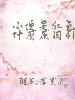 小便是红色的是什么原因引起的吗