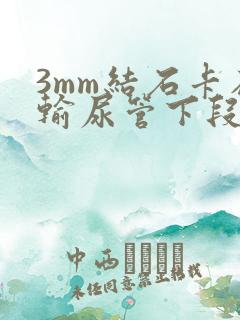 3mm结石卡在输尿管下段