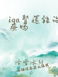 iga肾还能治疗吗