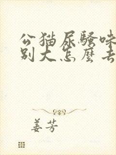 公猫尿骚味道特别大怎么去除