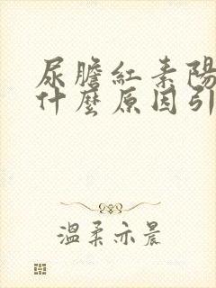 尿胆红素阳性是什么原因引起的