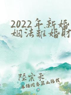 2022年新婚姻法离婚财产怎么分割