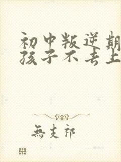 初中叛逆期的男孩子不去上学怎么去引导