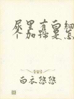 尿里有白细胞1个加号是怎么回事