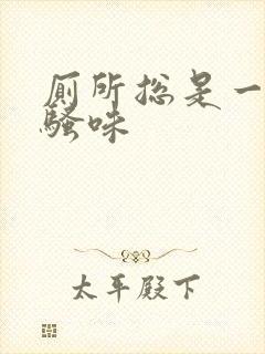 厕所总是一股尿骚味