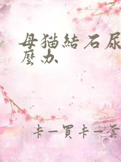 母猫结石尿血怎么办