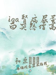 iga肾病尿蛋白突然增高的原因
