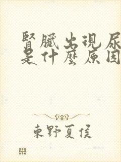 肾脏出现尿蛋白是什么原因