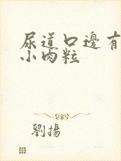 尿道口边有白色小肉粒