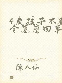 4岁孩子不听指令怎么回事