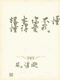 根本你不懂的不懂得爱我