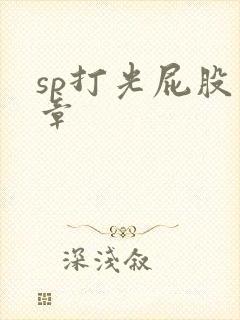 sp打光屁股文章