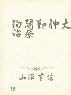 狗关节肿大怎么治疗