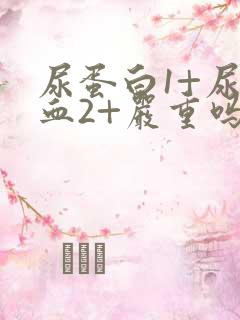 尿蛋白1+尿潜血2+严重吗