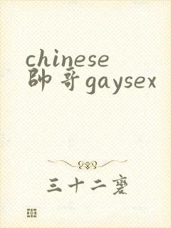 chinese帅哥gaysex