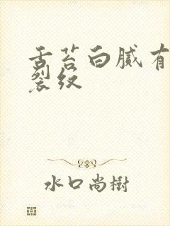 舌苔白腻有齿痕裂纹