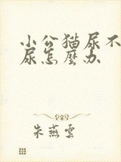 小公猫尿不出来尿怎么办